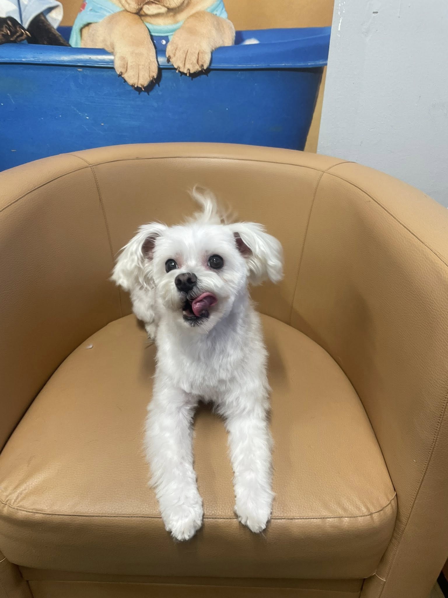 Home 569603998 817270064268178 406296085741082837 n