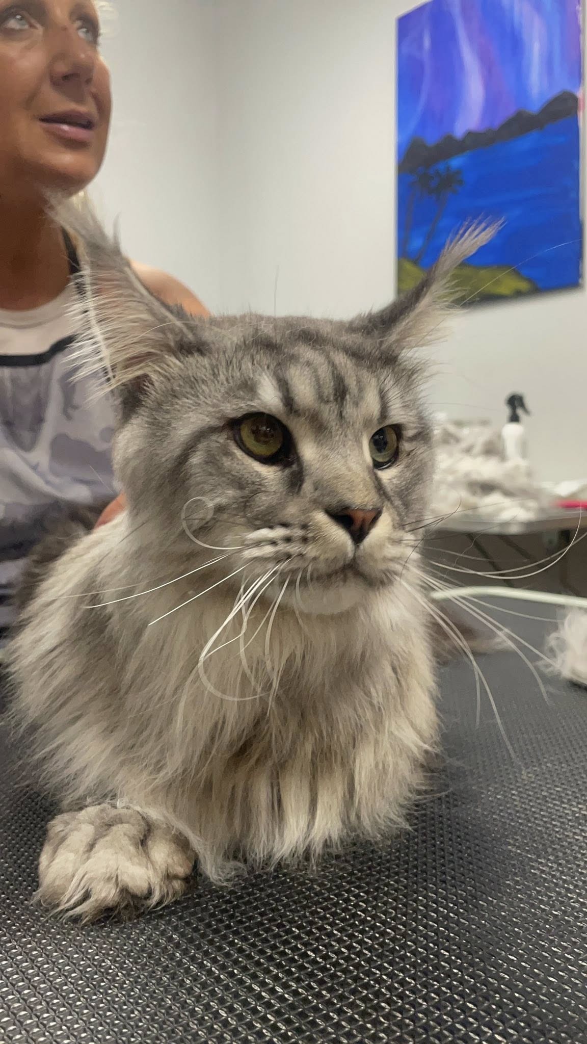 559517485 804425768885941 2703080304413457695 n