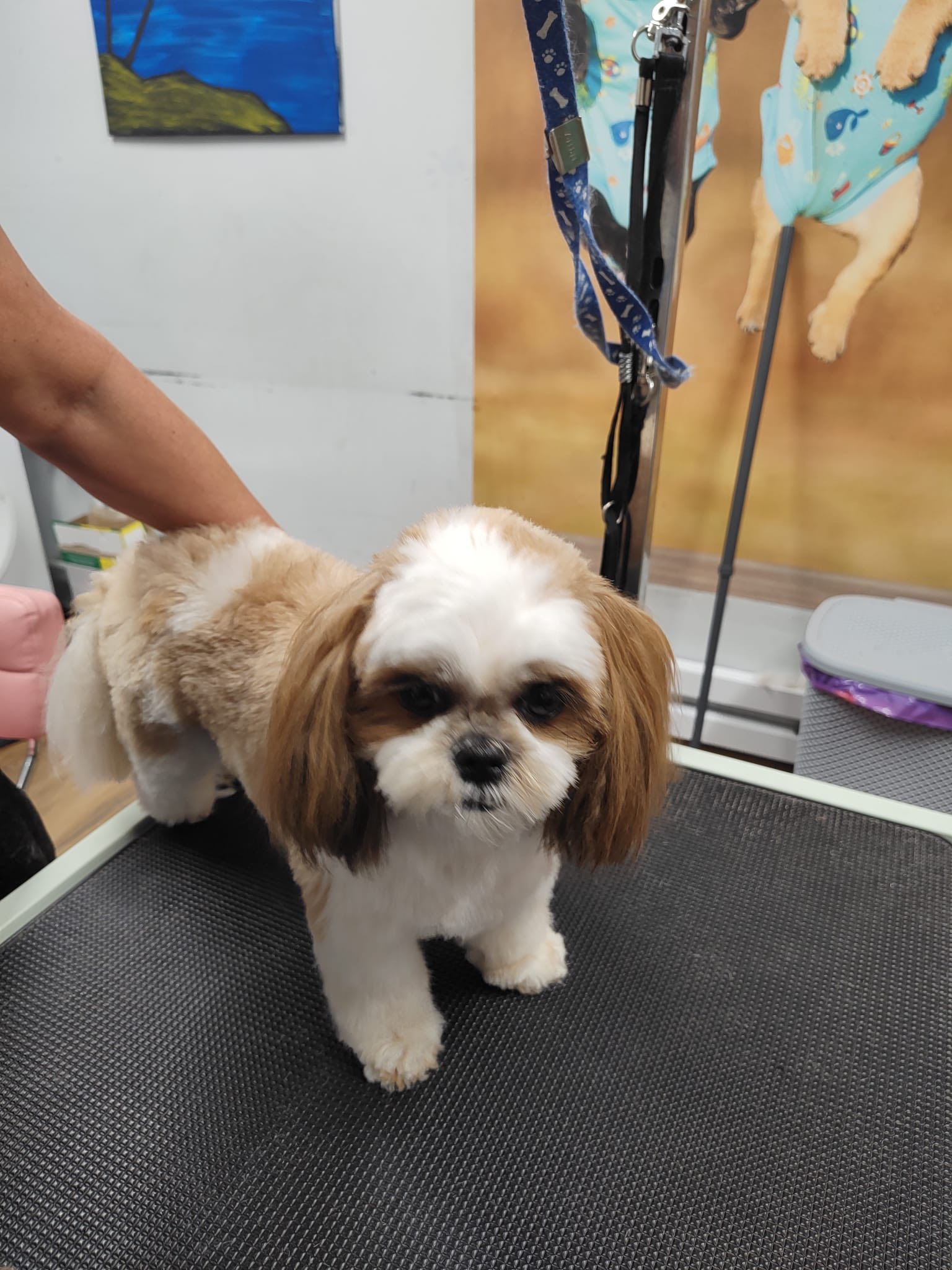 572057103 822216570440194 6838778108840614769 n