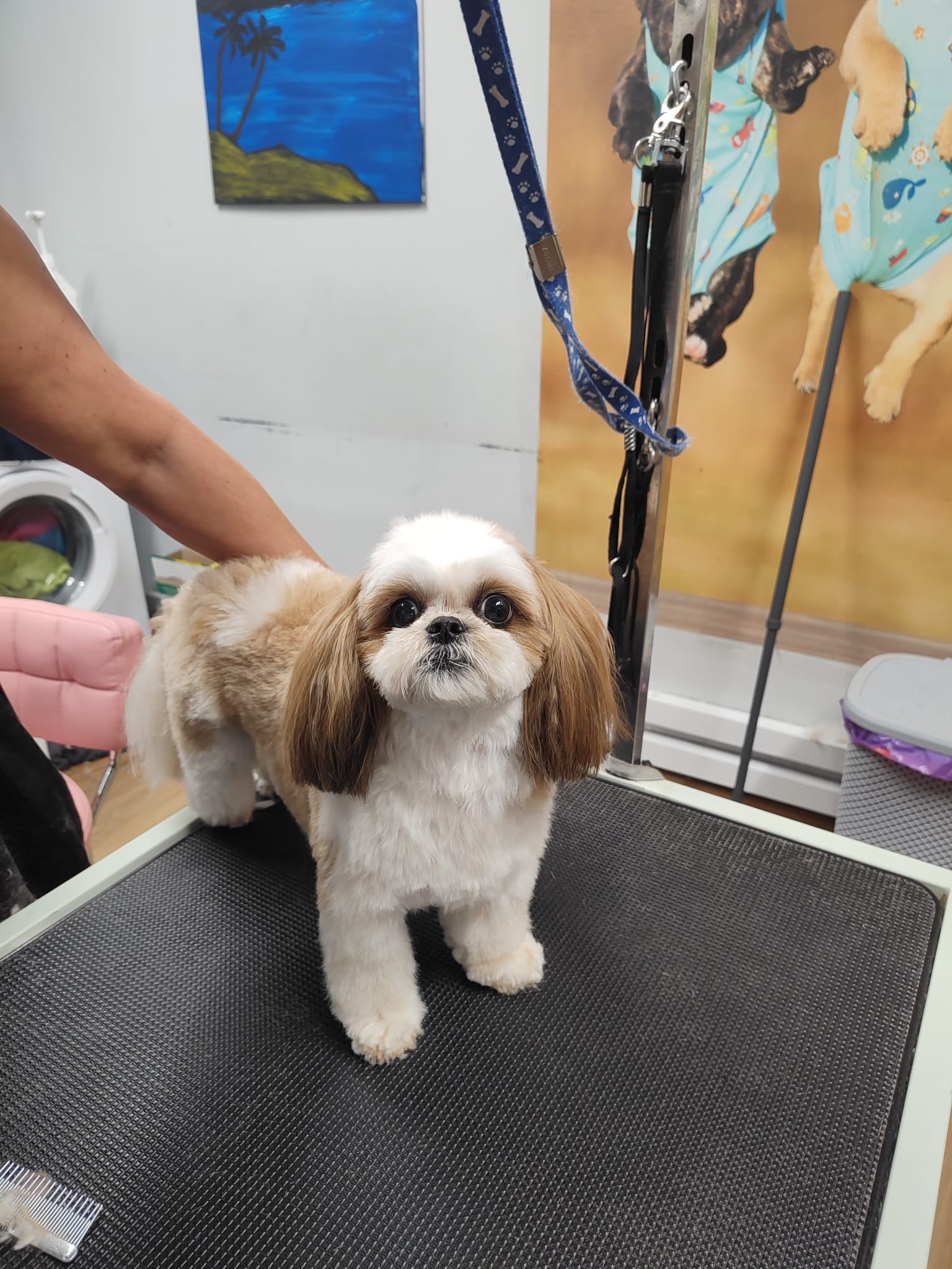 572106640 822216547106863 7381975026914229342 n