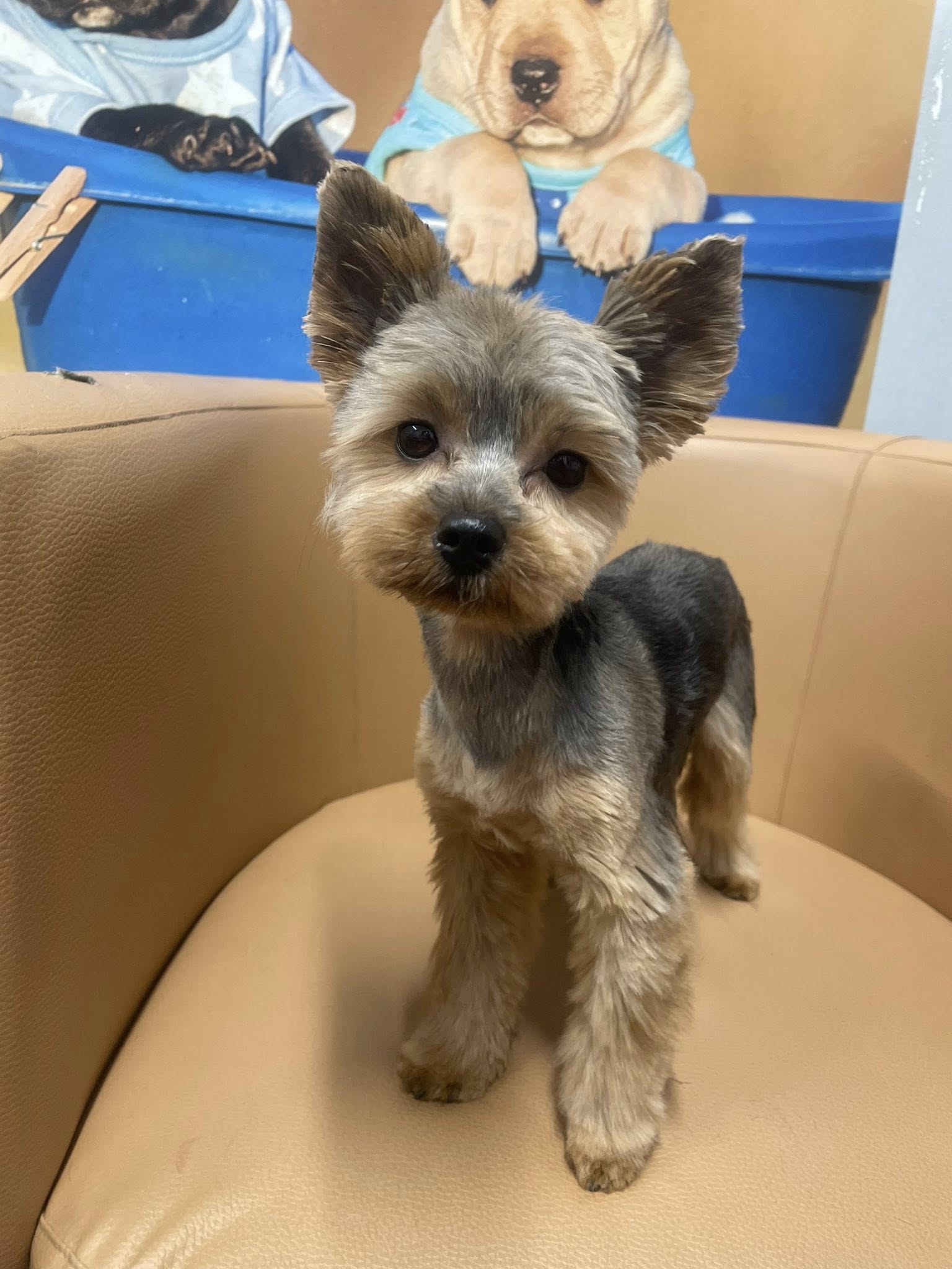 573527243 819793854015799 4211442630776019145 n