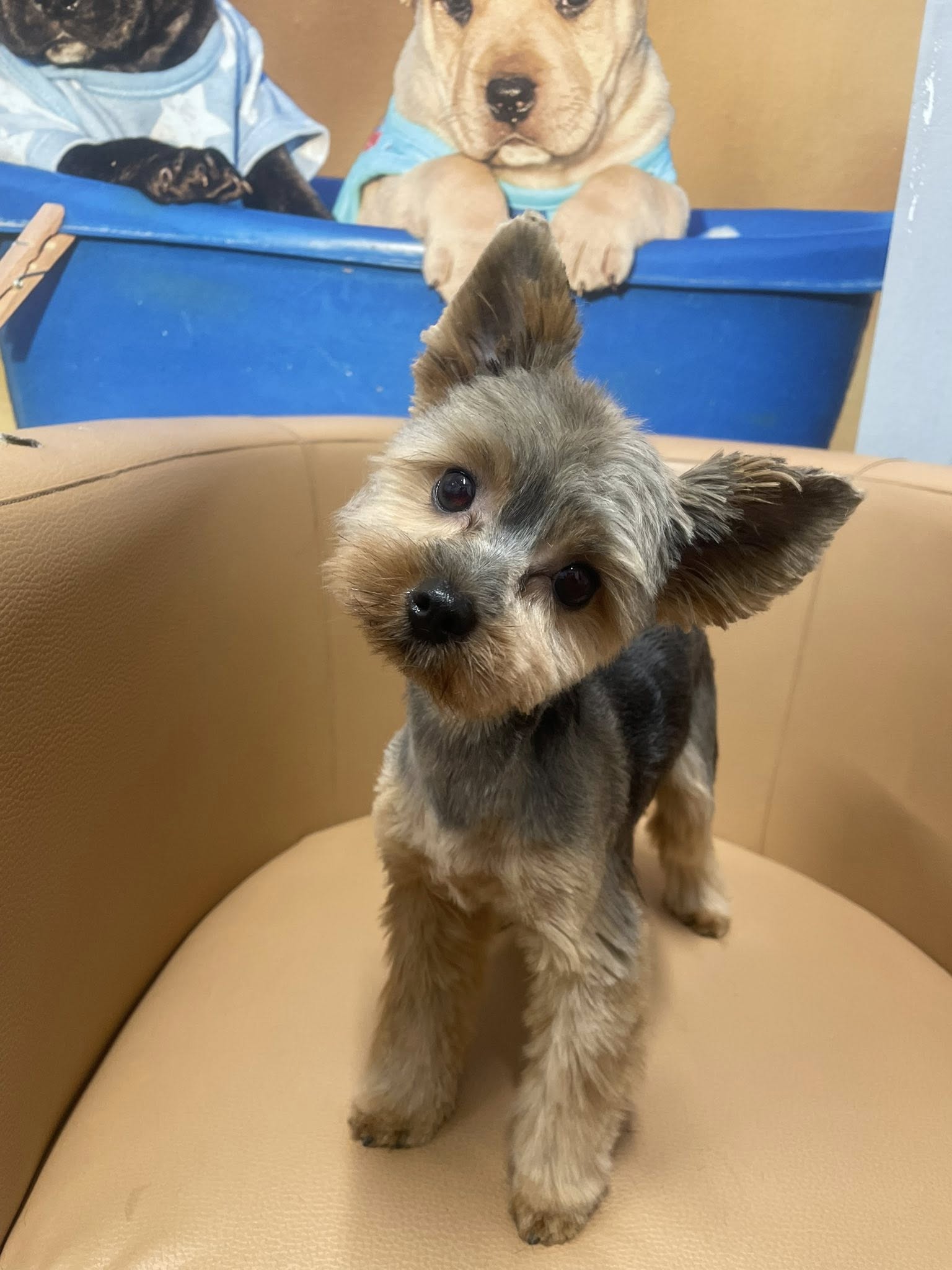 573868207 819793864015798 8438783409177081360 n