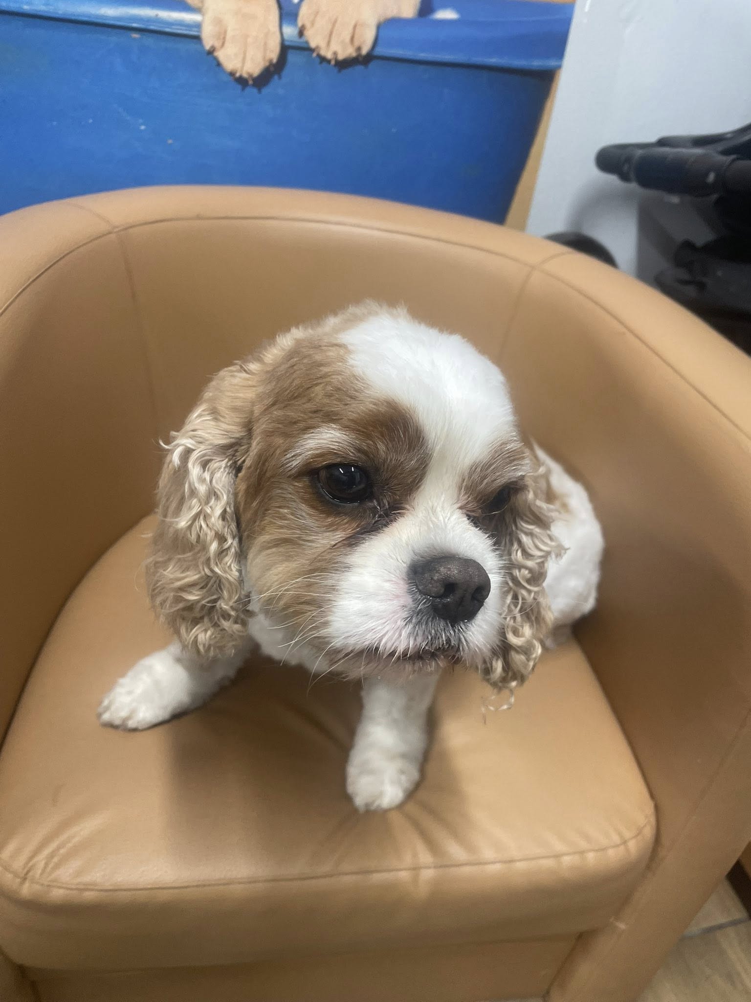 574247420 822201720441679 3391954301934363983 n