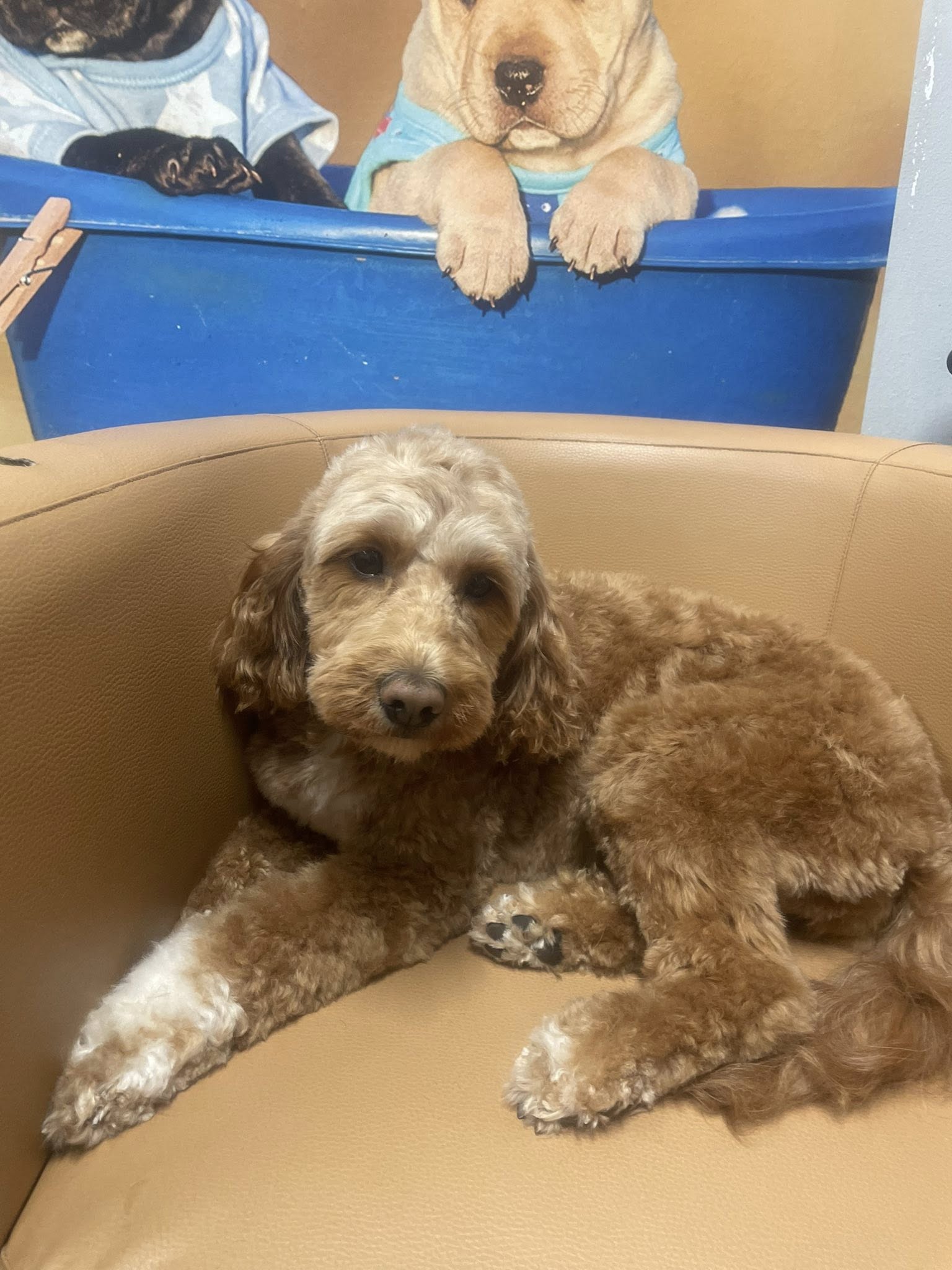 O nas salon mela zdj 1